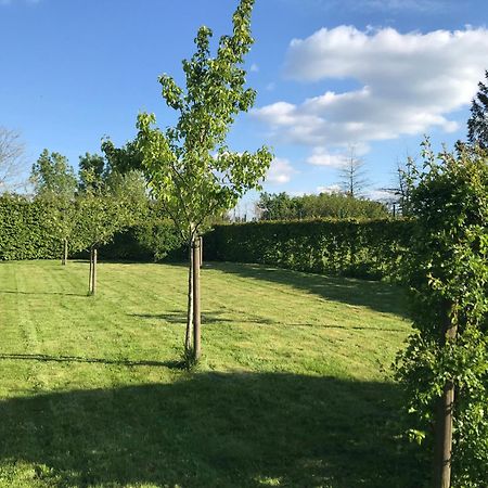 The Suite Escape Apartment Sand Sint-Lievens-Houtem Екстериор снимка